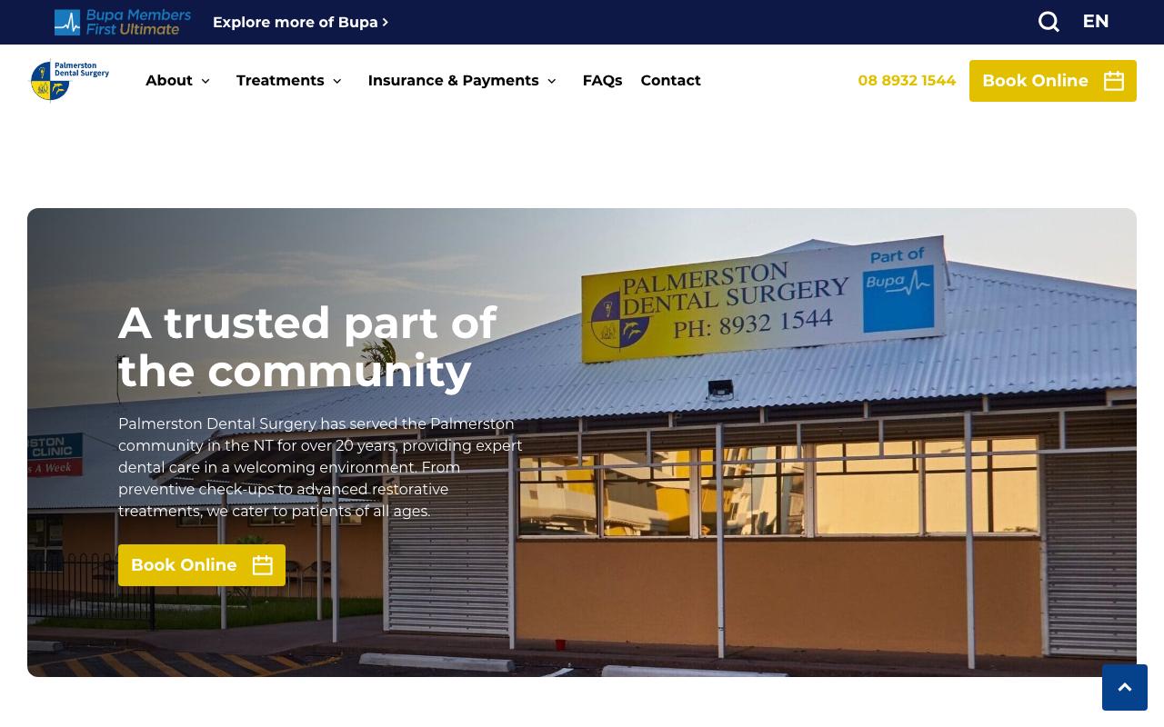 Palmerston Dental Surgery website